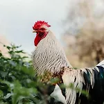 La Pagliera 4* 아그리젠토